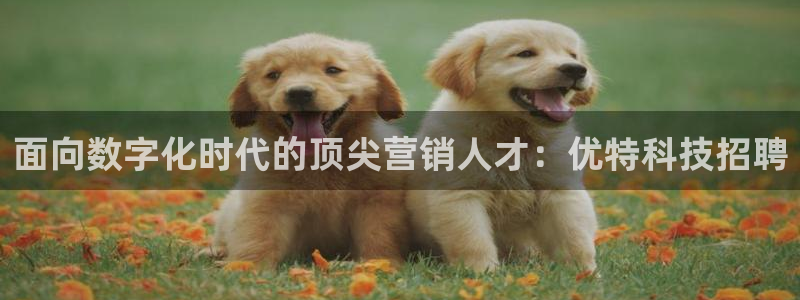 金年会体育app下载官网安卓版
