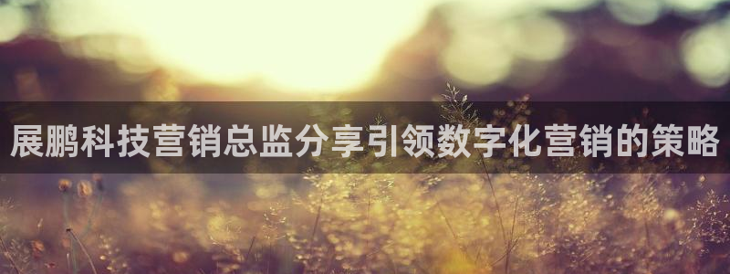 金年会网址