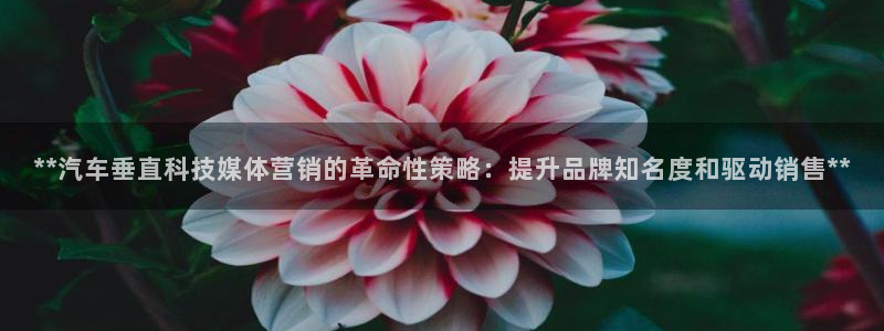 金年会信誉至上金字招牌