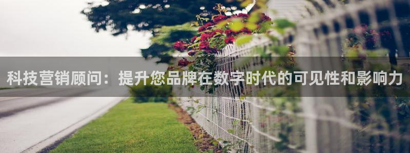 金年会网站提现一直显示审核当中怎么办