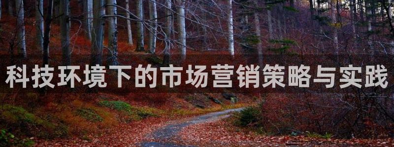 金年会网址有吗