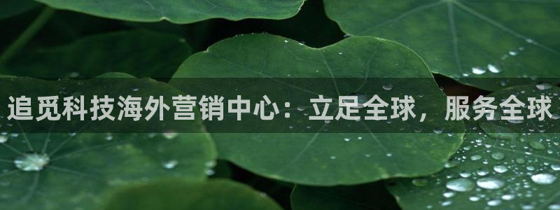 金年会赌博是诈骗