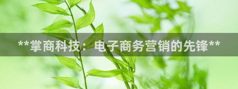 金年会官方入口首页