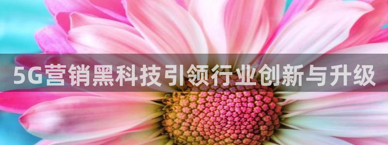金年会体育竞彩app