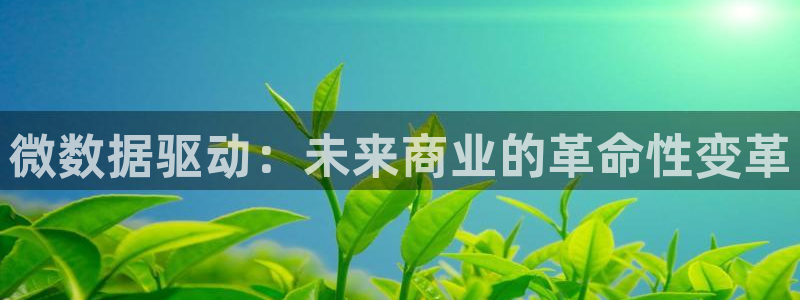 金年会官方网站登录网址是多少