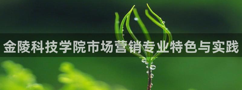 金年会网页版登陆