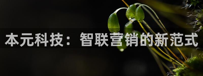 金年会官网中国