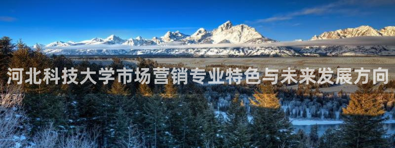 金年会体育官方入口