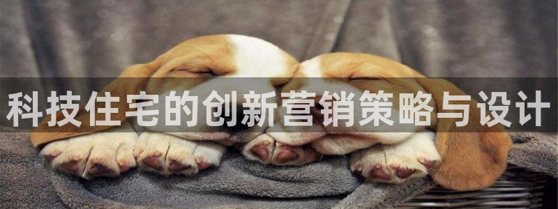 金年会官方体育登陆入口