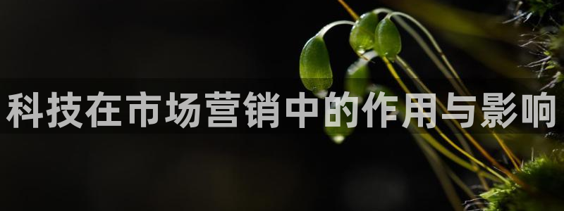金年会平台官网