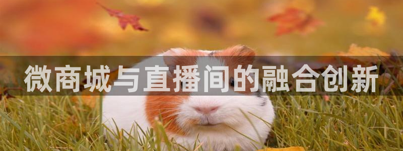 金年会体育平台是真的吗