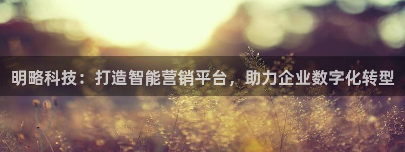 金年会平台官网下载