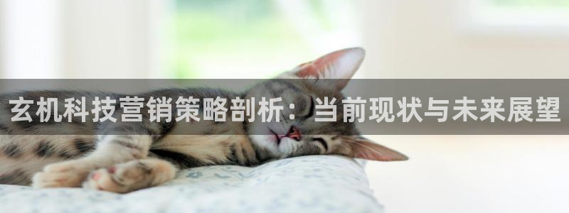 金年会黑平台不给出款