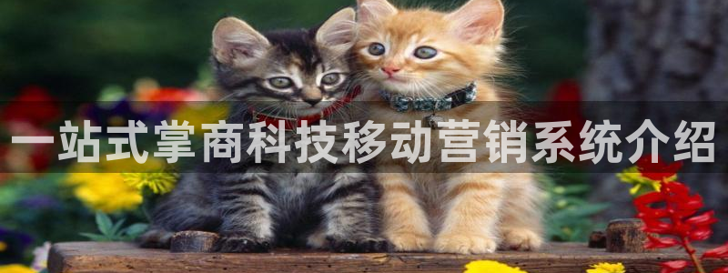 金年会官方娱乐app下载