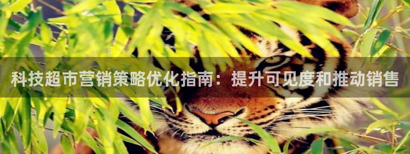 金年会信誉至上金字招牌