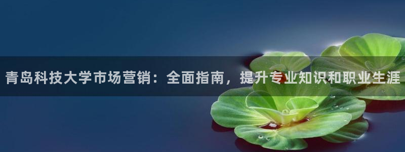 金年会官方下载入口