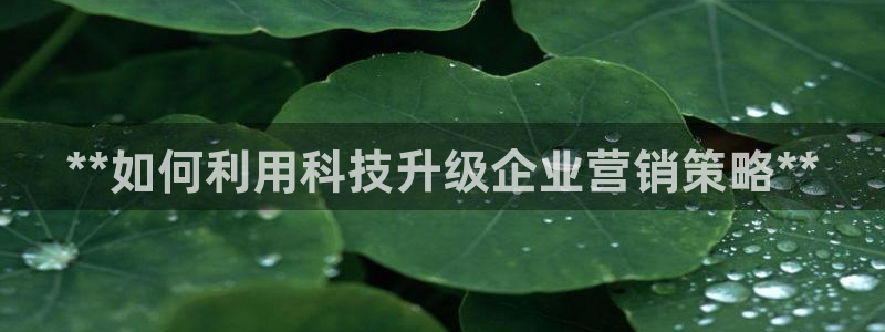 金年会官方在线入口网站2023