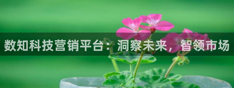 金年会