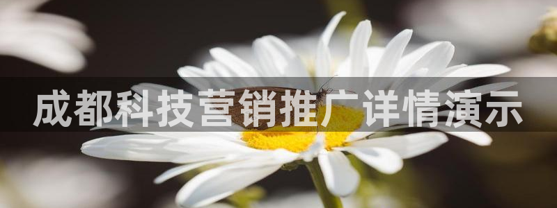 金年会jinnianhuicom