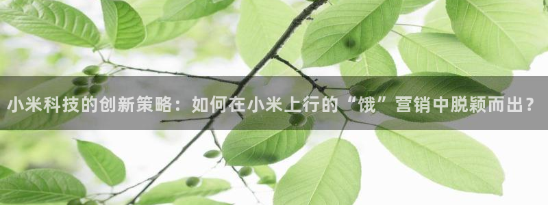 金年会体育app