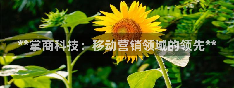 金年会vip888