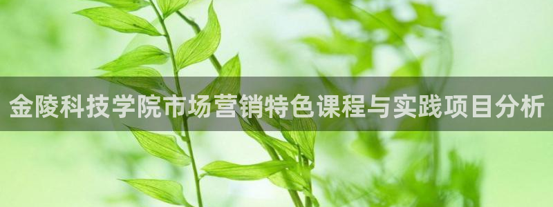 金年会ios版下载