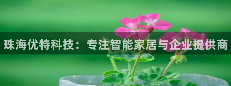 金年会pg官网