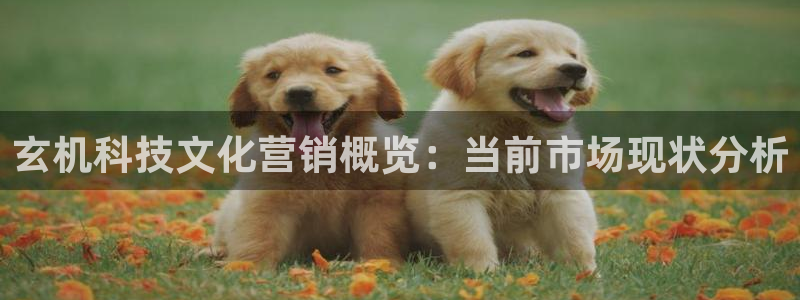 金年会体育诚信