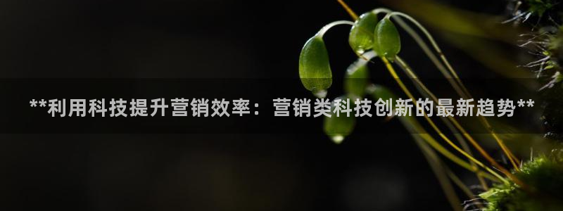 金年会体育app网页版入口