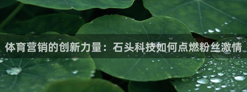 金年会jinnianhui