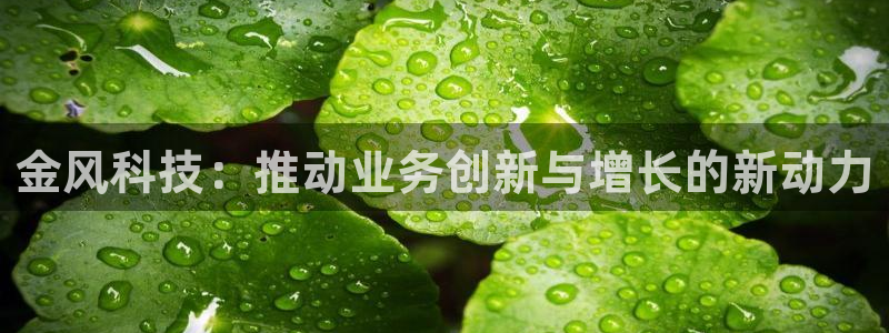 金年会网站出款被要求认证怎么办?