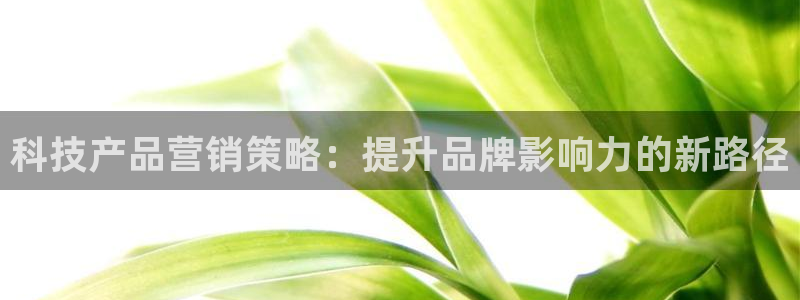 金年会网站洗黑钱