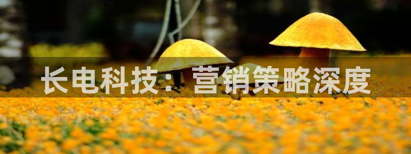 金年会官方网站入口登录网