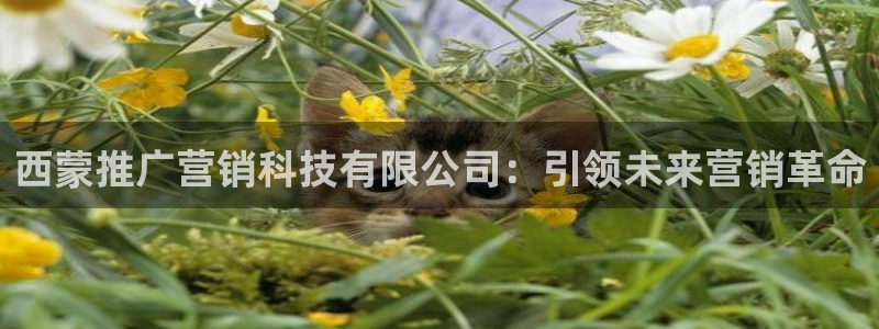 金年会网站入口官网