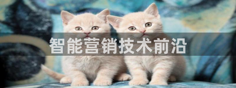 金年会体育app下载官网安卓手机