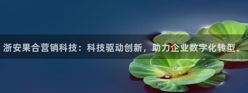 金年会官方在线入口网站查询