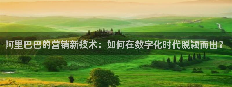 金年会App是不是钓鱼软件