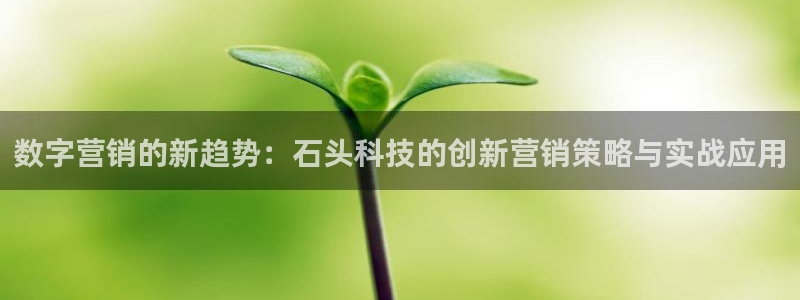 金年会信誉至上金字招牌