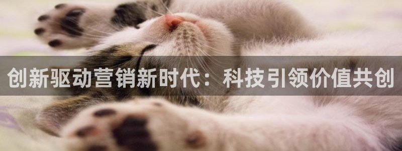 金年会电子