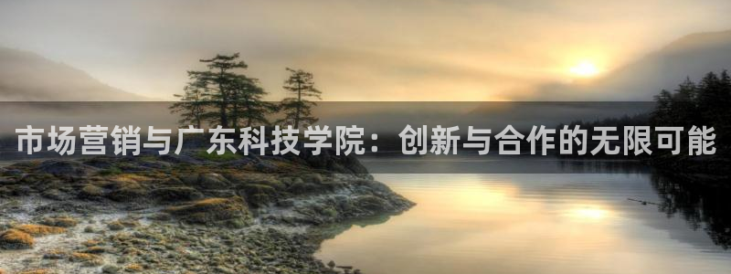 金年会体育app下载官网