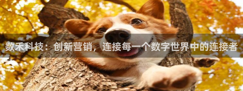 金年会电子app官方下载