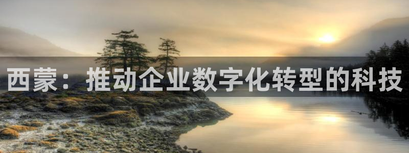 金年会ivp