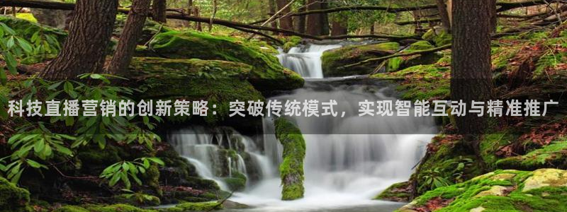 金年会网站出款被要求认证怎么办?