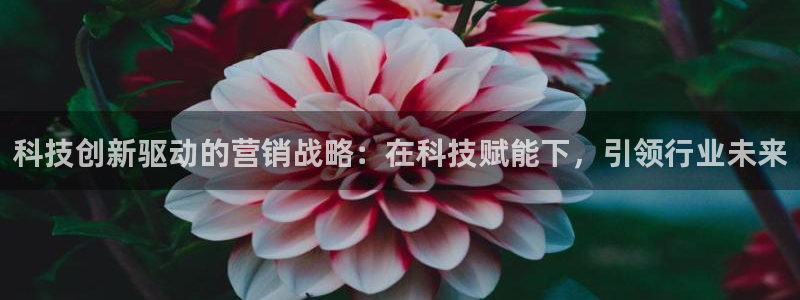 金年会官方下载入口手机版