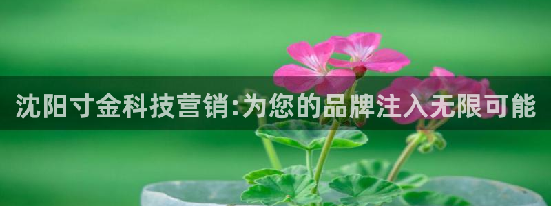 金年会体育是诈骗