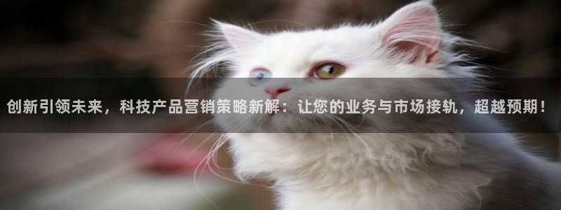 金年会入口网站
