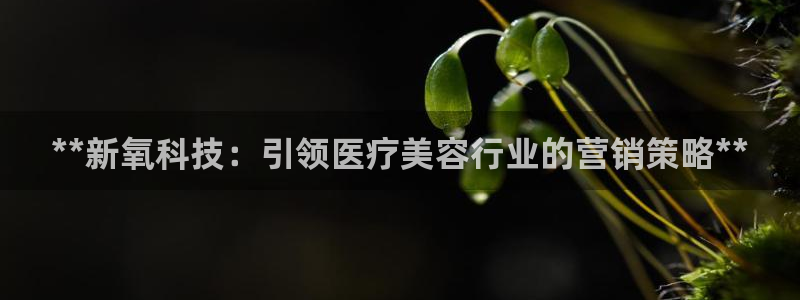 金年会网页版在线登录官网下载