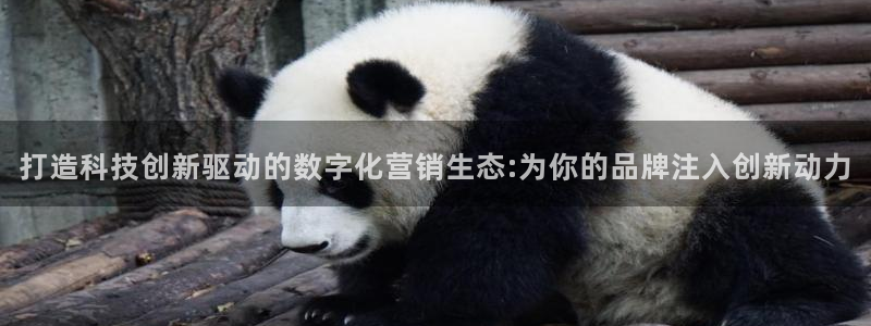 金年会 金字招牌诚信至上