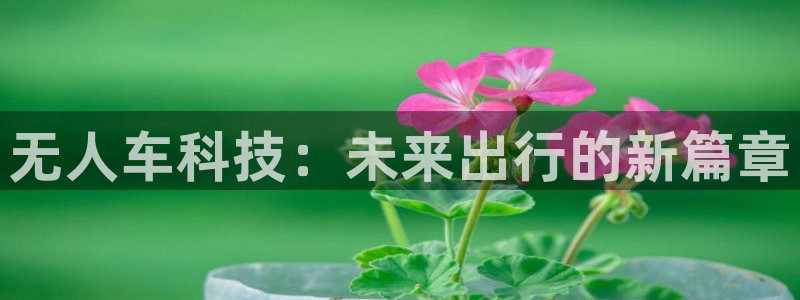 金年会手机网页版官网