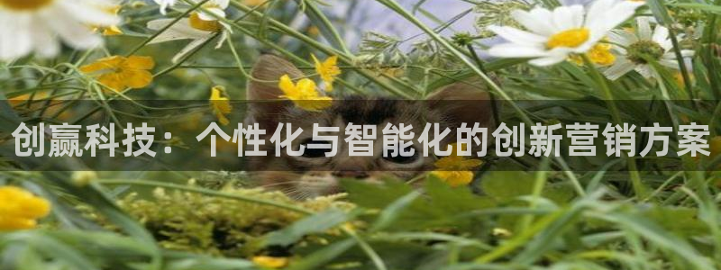 金年会网页版在线登录官网下载